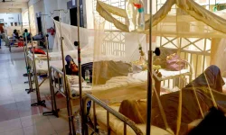 Dengue Cases Surge to Record High This Year with 429 Infections.webp