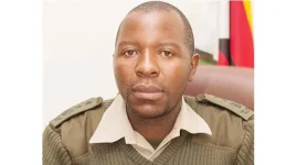 Lion Spotted on Chegutu's Chakari Road, Authorities on High Alert.webp