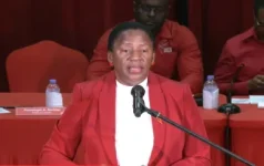 Beckles Makes History as First Woman to Lead PNM, Vows to Restore Party's Strength.webp