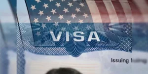 US Embassy Warns Zim Baby Hunters - Visas Go Poof.webp
