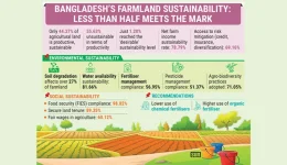 Bangladesh's Farmland in Crisis, Over Half Unfit for Farming.webp