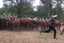 Acholi Declare War over Balaalo Land Seizures.webp