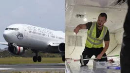 Stowaway Snake Halts Melbourne-Brisbane Flight for Two Hours.webp