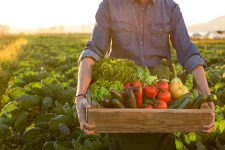 Strained Global Food System Demands Cross-Sector Collaboration.webp