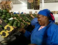 Africa's Food Economy Poised for Investment with Climate-Resilient Systems.webp