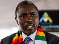 Zimbabwe Ruling Party Appoints Sanctioned Tycoon Kudakwashe Tagwirei to Key Decision-Making B...webp