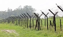 BSF Shoots and Kills Bangladeshi Youth Along Naogaon-Porsha Border.webp