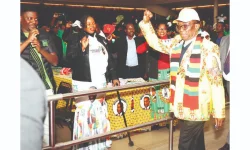 Mnangagwa Urges Zanu PF to Focus on Reclaiming Urban Constituencies.webp