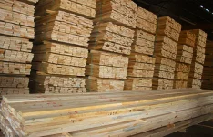 Timber Shortage Hits Zimbabwe as Industry Struggles with Decline.webp