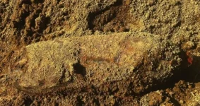 Old WWII Bomb Discovered and Safely Discharged in Kuantan Housing Site.webp