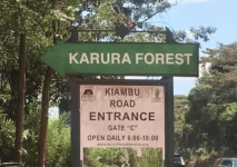 KFS Clarifies Karura Forest Harvesting Plan Following Viral Video.webp