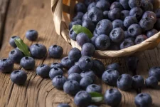 Recall Issued for Organic Blueberries Due to Listeria Risk.webp