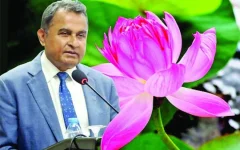 Lotus Kamal's Untouched Empire - Bank Accounts Frozen, But Properties Remain Safe.webp