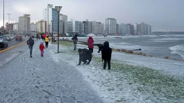 Historic Cold Snap Hits South America, 15 Dead in Record Chill.webp