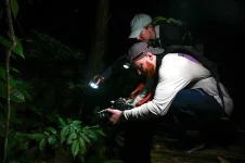 Frogging gains popularity in Borneo's Kubah National Park.webp