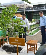 Myanmar accelerates tree-planting efforts to increase forest coverage and protect resources.webp