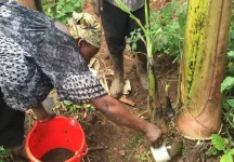 Experts call for a ban on hazardous pesticides, advocate for agroecology in Uganda.webp