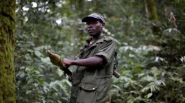 FDLR seeks talks after DRC and Rwanda sign deal for group's disarmament.webp