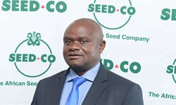 Seed Co posts US$71.2 million revenue as volumes climb 52 percent.webp