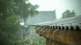 Heavy rain damages hundreds of homes and disrupts power in the Athlone area.webp