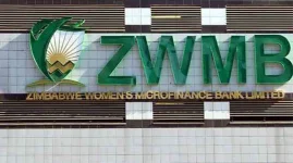 Zimbabwe women's bank fails to reach rural poor.webp