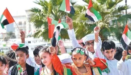 UAE's hidden principles of the 50-mask economic diplomatic agenda.webp