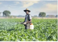 EU trade rules blamed for crippling pesticide ban.webp