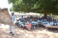 Katakwi Township primary pupils forced to learn under cashew trees.webp