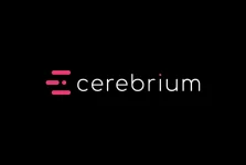 Cerebrium sparks AI gold rush as Cape Town startup bags $8.5 million in New York.webp