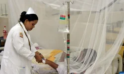 Bangladesh dengue crisis blindsides DGHS as Dr Md Abu Jafor warns.webp