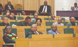 Zimbabwe President Mnangagwa storms parliament Q and A, MPs squirm.webp