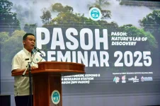Scientists take 40 years to notice new tree in Pasoh forest.webp