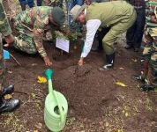 Dr Kiptoo's avocado plan overruns Kaptagat and Uasin Gishu.webp