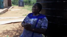 Kajiado pupils face daily attacks from bees, snakes, and buffaloes.webp