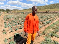 Zimbabwe prison hero Bernard Benneti farms a fortune behind bars.webp