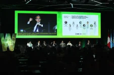 Fahmi Fadzil moves to put ASEAN leash on big tech.webp
