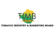 Tobacco seed sales soar as farmers rush for the new season and float tray tech.webp