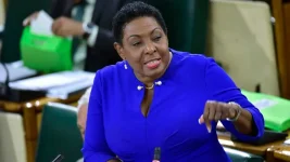 Jamaica's Grange hits back as WEF report exposes pay chasm in paradise.webp
