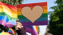 Regina Ip ignites LegCo fury over same sex unions debate in Hong Kong.webp