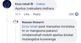 Stephen Kudzanai Mamhere, Enzo Ishall responds to Hopewell Rugoho-Chin'ono - IMG1.jpeg