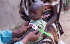 UNICEF warns North Darfur malnutrition cases double in Sudan.webp