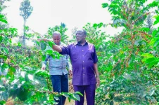 Oparanya vows to auction coffee coop properties over farmers' theft.webp