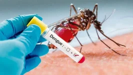 Bangladesh dengue cases hit 14000, Dhaka and Chattogram scramble for beds.webp