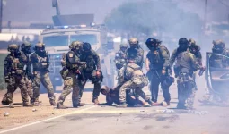 Ventura cannabis raid kills farmhand, Trump demands slimeball arrests.webp