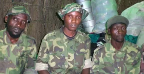 Operation Shujaa sees UPDF crush ADF terror camp in Apakwang, Ituri.webp