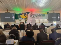 Mthuli Ncube begs for cash as new Zimbabwe road set to crumble.webp