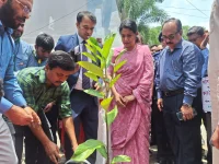 Savar erupts as Dhaka trees vanish, adviser warns of looming eco crisis.webp