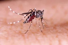 Barishal reels as dengue surge kills again, Bangladesh hospitals are overwhelmed.webp