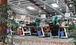 Bangladesh RMG exports soar as EU and US buyers fuel billion-dollar surge.webp