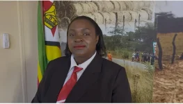 Zimbabwe's Joyce Chapungu summons wetland chiefs to Ramsar COP clash.webp